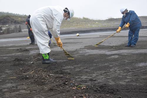 熊手を使い海岸に打ち上げられたウッドチップをかき集める作業員=14日、三沢市