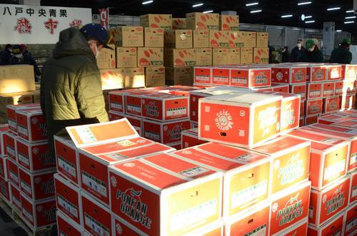 各地から入荷している中晩柑類=7日