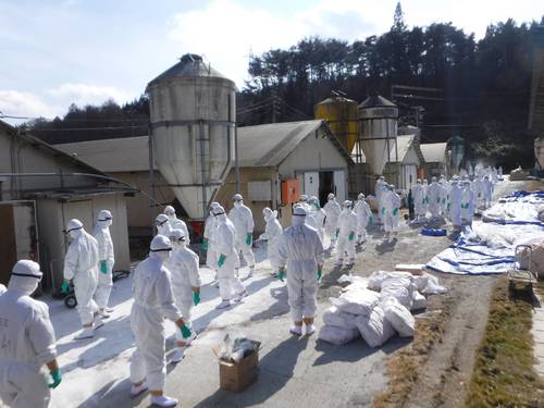 鳥インフルエンザが発生した養鶏場で防疫作業を行う関係者=12日、久慈市(岩手県提供)