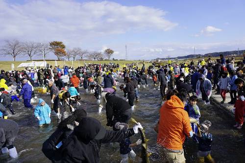 サケのつかみ取りが人気だった「日本一のおいらせ鮭まつり」=2014年