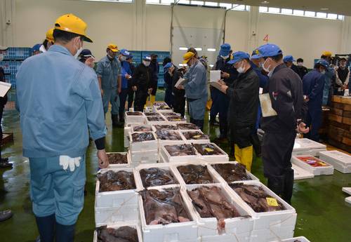 鮮魚の競りや入札が行われる八戸市第2魚市場。魚市場全体の取扱数量、金額は共に減少している=1日