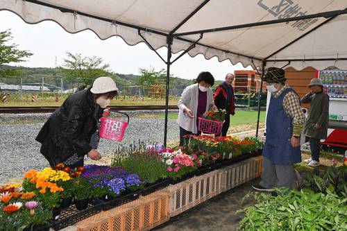 花の苗を買い求める来場者