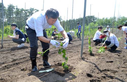 ソラチエースの苗植えを体験する山本賢一町長(手前左)ら関係者=21日、軽米町
