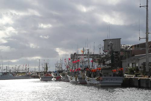多くの漁船が接岸する大間漁港。クロマグロの魚影は濃いが制限を守るため出漁を控える船は少なくない=13日、大間町