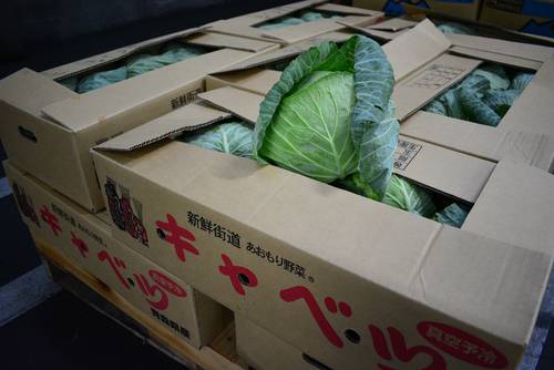 八戸市中央卸売市場に並ぶ青森県産キャベツ。関係者は輸出で地物の魅力が浸透することを願う=15日(写真はイメージ)