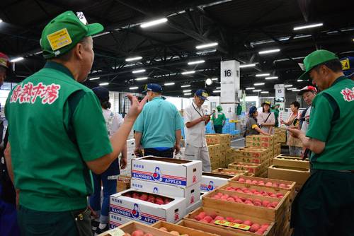 猛暑でモモをはじめとする果物全般の出荷が早い。関係者は気候変動に応じた生産や市場の在り方を模索する=7日、八戸市中央卸売市場