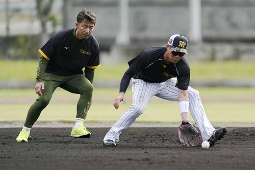 守備練習で阪神・木浪(右)を指導する鳥谷臨時コーチ=宜野座