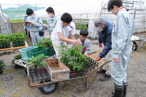 丁寧な接客で苗を販売する生徒