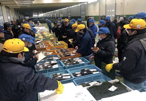 販売委託手数料率引き上げの初日に行われた水産物の競り=1日、八戸市第2魚市場