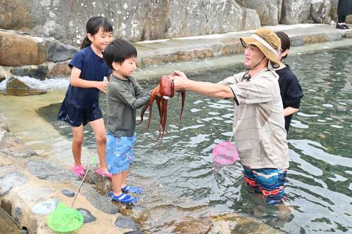 海水プールを泳ぐタコを捕まえて見せる家族連れ