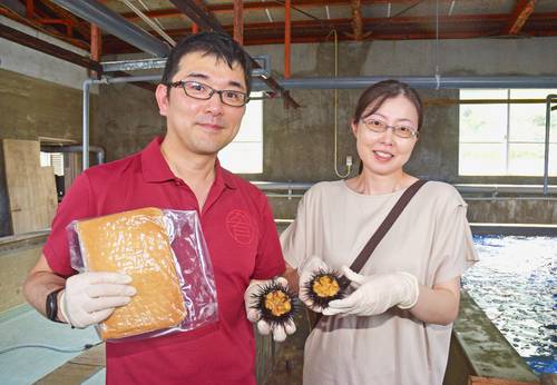 酒かすを餌に養殖した「酒粕うに」を開発した青森県産業技術センター食品総合研究所の油野晃研究開発部長(左)=7月下旬、東通村