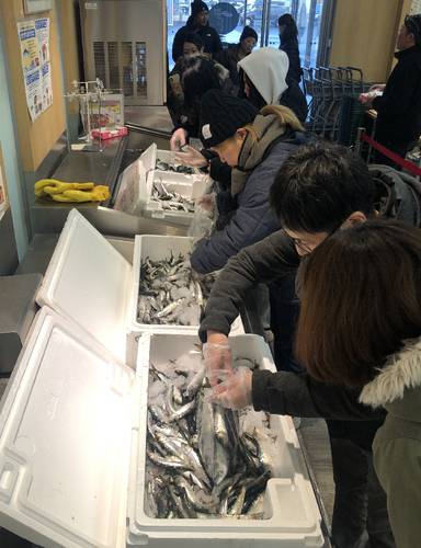 マイワシやサバの詰め放題を楽しむ来場者=7日、八戸市