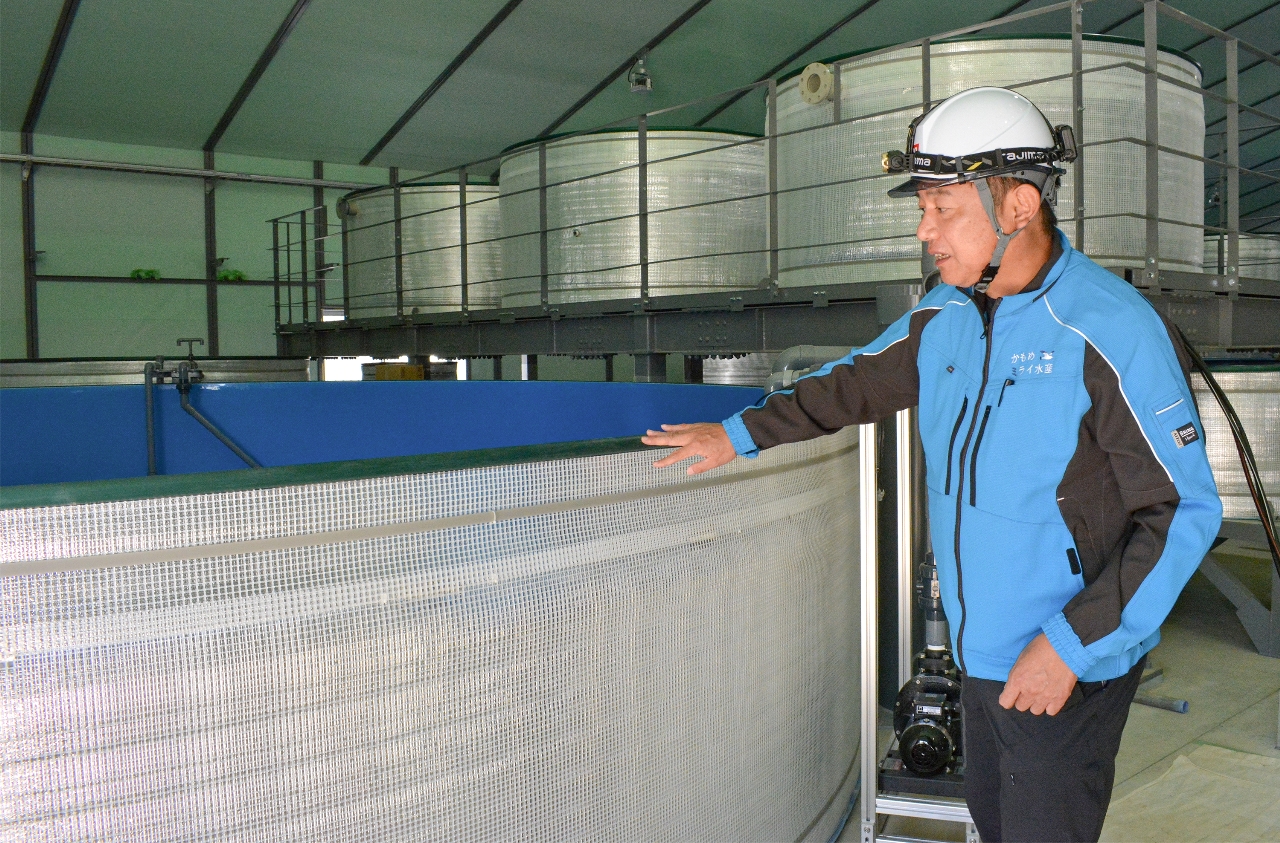 生食用サバの養殖技術を確立するため、建設が進む施設内を説明する大澤公伸社長=10月下旬、福島県浪江町