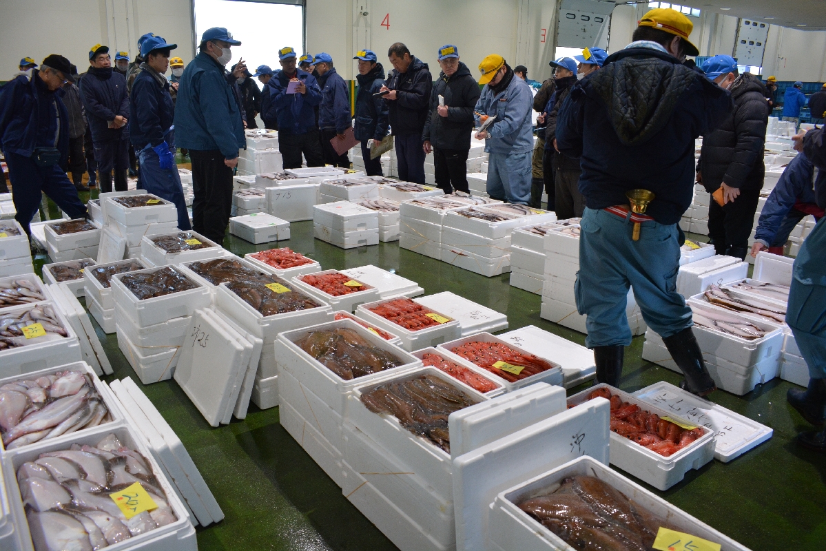 中型底引き網船が漁獲した鮮魚の競り。海洋環境が刻々と変わる中、業界も対応策を模索する=19日、八戸市第2魚市場