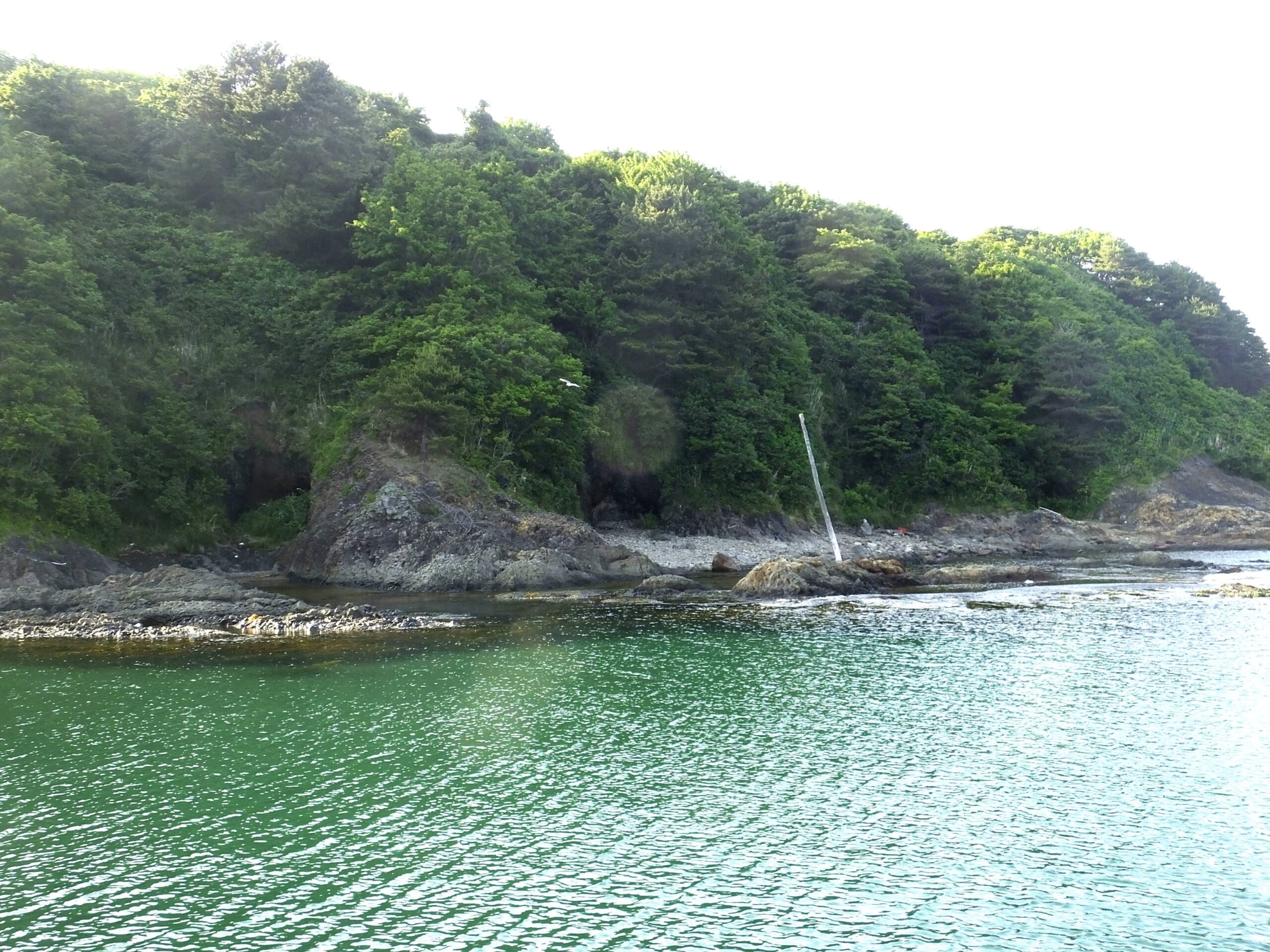 甲岬には切り立った崖に、海に向かって四つの大きな洞窟跡が並ぶ=風間浦村下風呂地区